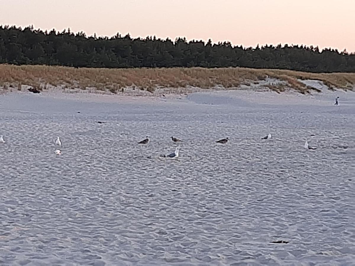 Vila Magico Posto Wierzchucino Exteriér fotografie